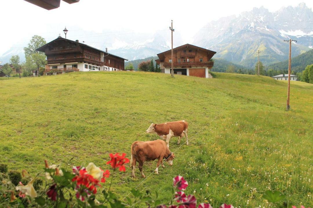 Pension Sunnberg Going am Wilden Kaiser Extérieur photo